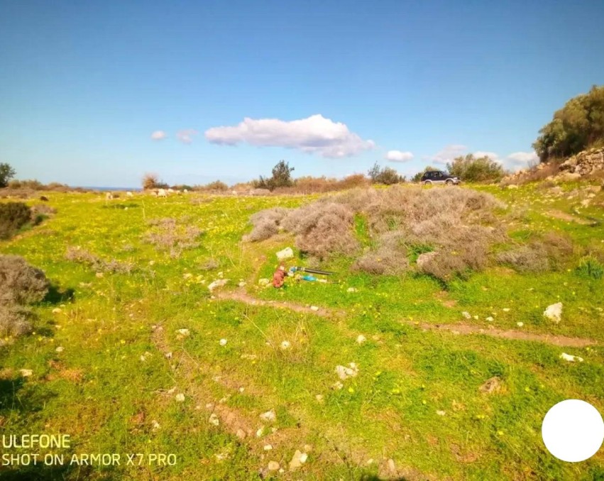 Land in Arkadi, Kreta