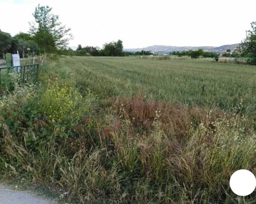 Terrain à Thermi, Thessalonique