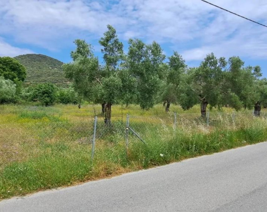 Terrain à Sykia, Chalcidique