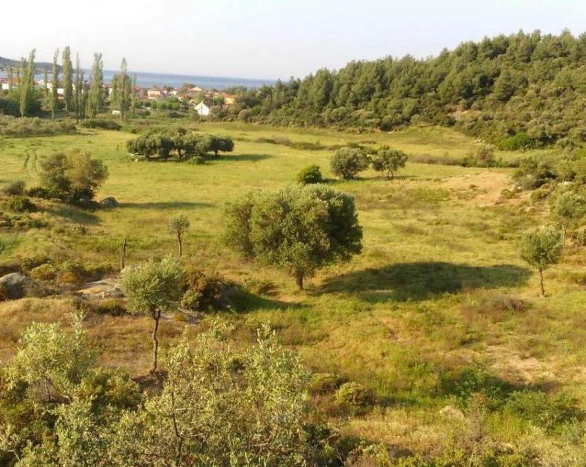 Terrain à Toroni, Chalcidique