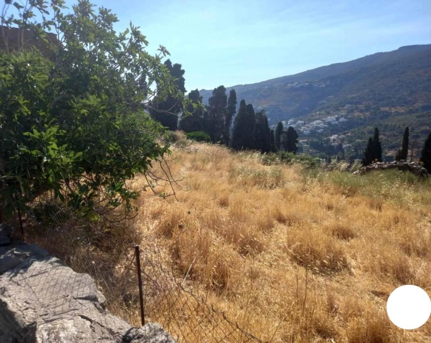 Terrain à Andros, Cyclades