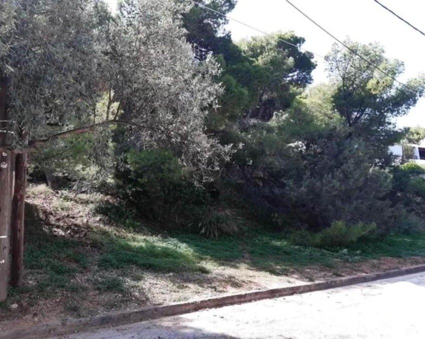 Terrain à Vavrona, Athènes