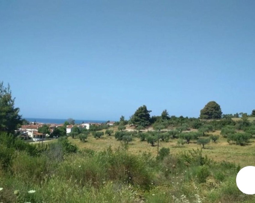 Land in Siviri, Chalkidiki