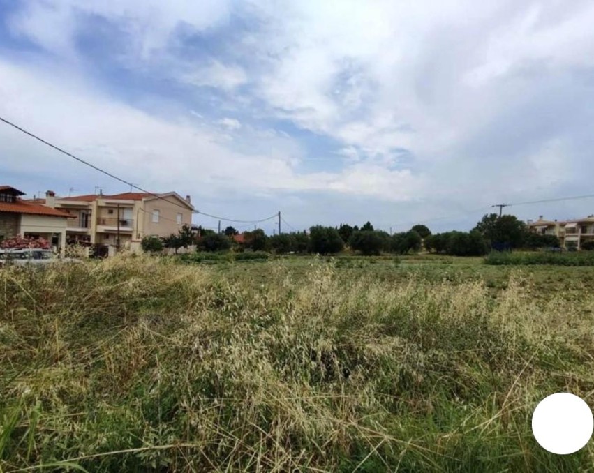 Terrain à Kardia, Thessalonique