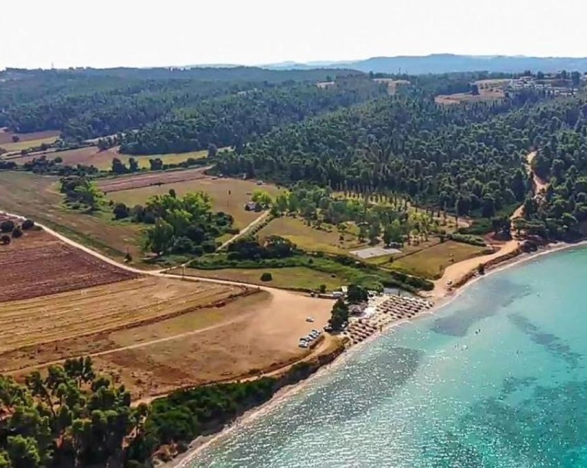 Plac u Elani, Halkidiki