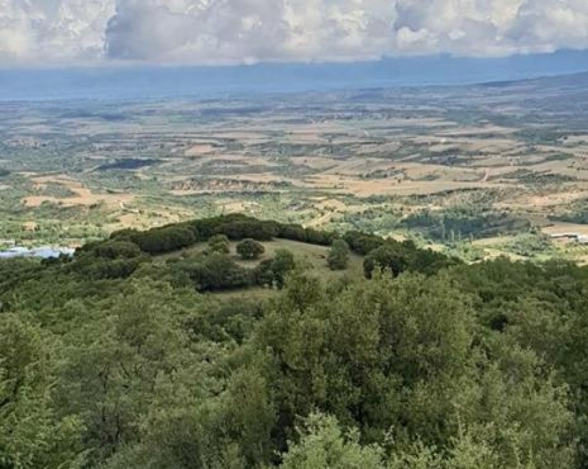 Land in Polygyros, Halkidiki