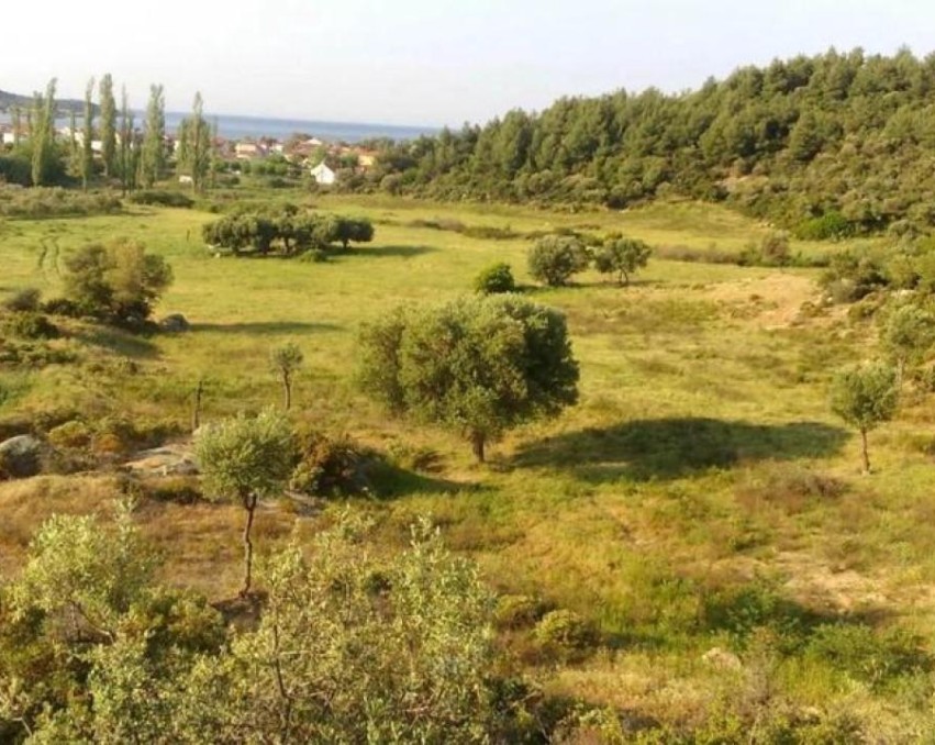 Poljoprivredno zemljište u Toroniju, Halkidik