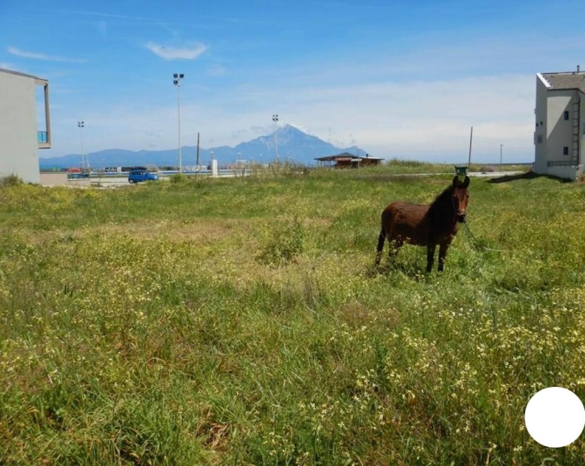 Parcela u Sarti, Halkidiki