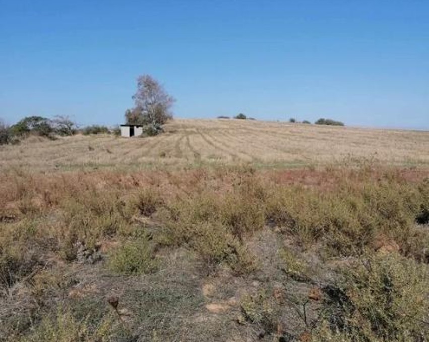 Land in Trιpiti, Chalkidiki