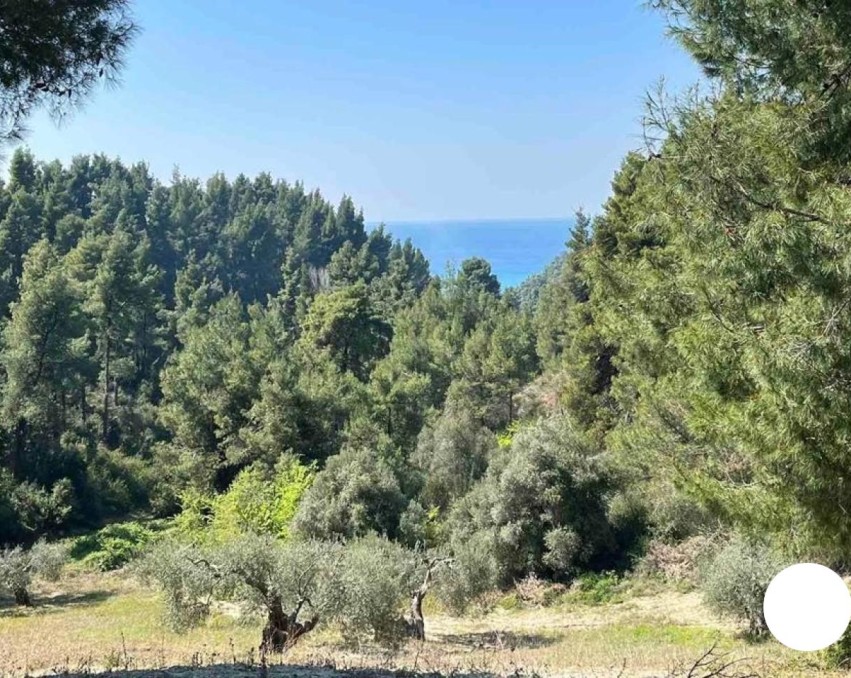 Teren în Fourka, Chalkidiki