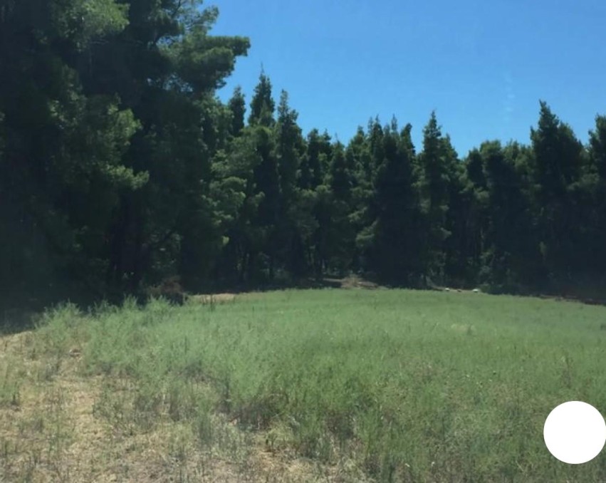 Agricultural plot in Sani, Halkidiki