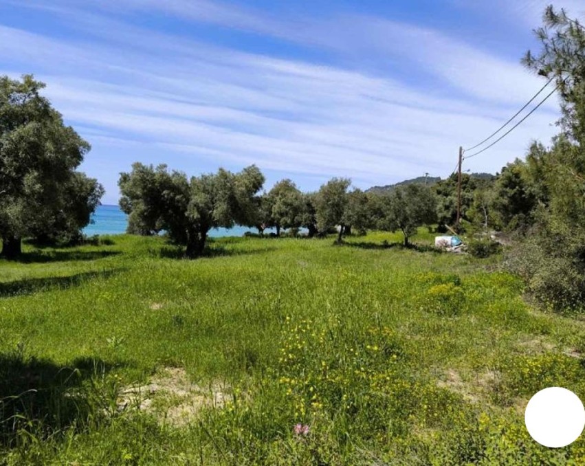 Teren agricol în Mola Kaliva, Halkidiki